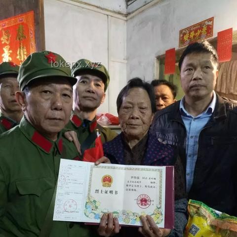 山东一村免费为适龄青年分100㎡楼房：实施策略与可持续发展方案